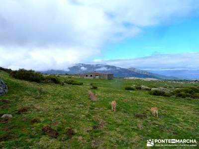 Castañar de El Tiemblo - Pozo de la Nieve- excursión de un día desde madrid